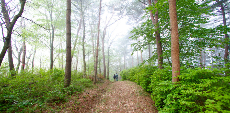 都市部企業の社員が自然豊かな地方で働くことの意義を科学的に考える