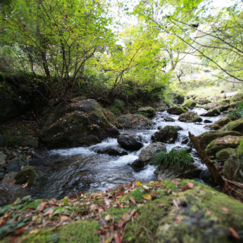 脳波を測定することで何を見出そうとしているのか?