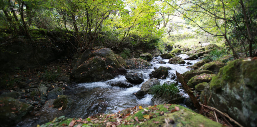 脳波を測定することで何を見出そうとしているのか?